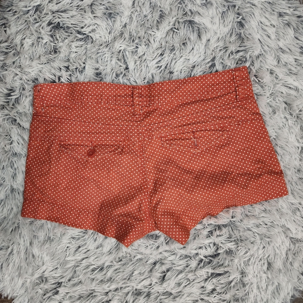American Rag Shorts - Picture 3 of 3